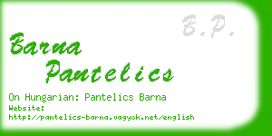 barna pantelics business card
